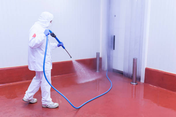 Best Oil and Grease Removal from Surfaces in Chandler, AZ